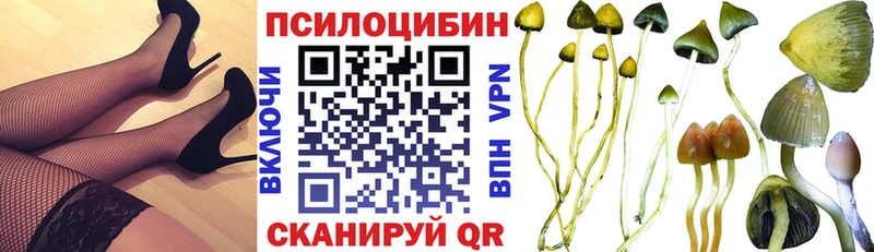 Псилоцибиновые грибы мухоморы  Трубчевск 