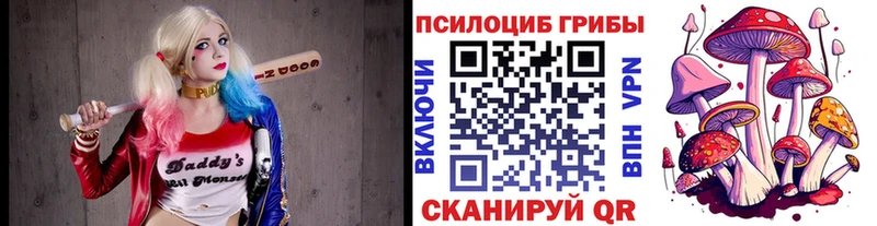 Псилоцибиновые грибы GOLDEN TEACHER Трубчевск